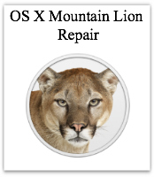 OS X Mountain lion Repairs